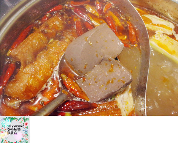 桃園【麻辣一哥養生麻辣火鍋】夏天要吃火鍋,正宗麻辣火鍋,重慶老闆娘開店