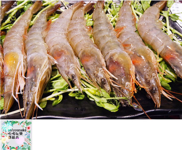 桃園【麻辣一哥養生麻辣火鍋】夏天要吃火鍋,正宗麻辣火鍋,重慶老闆娘開店