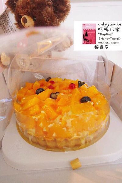 樂天市場亞尼克生乳捲芒果曼波/食感旅程瘋芒塔／阿雪真甕雞/愛D菇脆餅