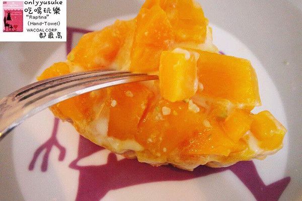 樂天市場亞尼克生乳捲芒果曼波/食感旅程瘋芒塔／阿雪真甕雞/愛D菇脆餅