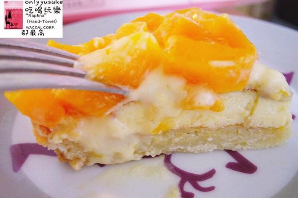 樂天市場亞尼克生乳捲芒果曼波/食感旅程瘋芒塔／阿雪真甕雞/愛D菇脆餅