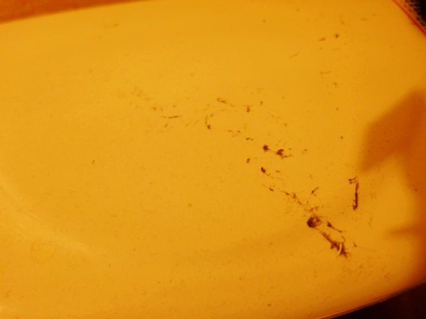 （Life日用品)♥【美國CLOROX】美國超強的高樂氏居家殺菌濕紙巾，一抹即淨又殺菌