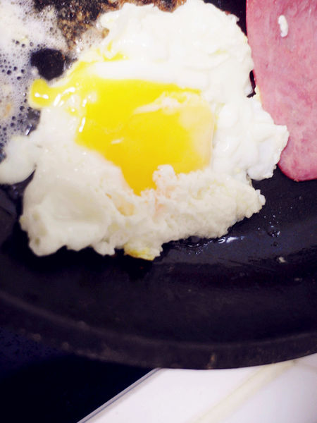 （Life日用品)♥【綠生活福利社】很可愛又超便利，一撕即開的側邊撕口三明治袋