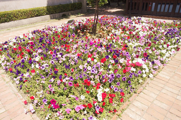 「台南」你不能錯過的「必吃美食和必遊景點」－YUSUKE