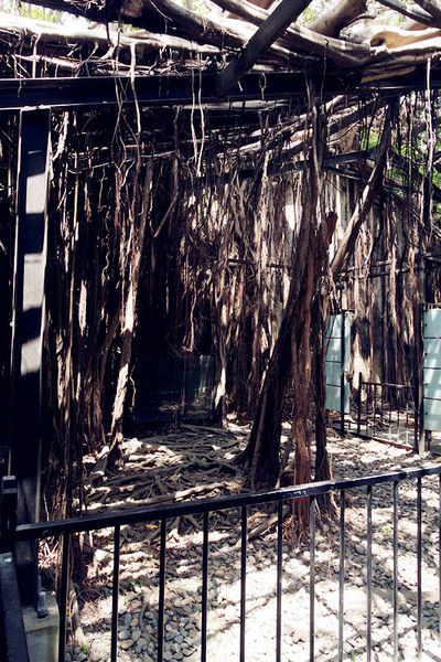 「台南」你不能錯過的「必吃美食和必遊景點」－YUSUKE