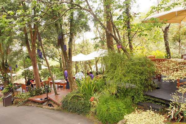 雅虎首頁文(國內旅遊台中)★【薰衣草森林】越來越文青風，來一趟文字探索森林之旅吧！