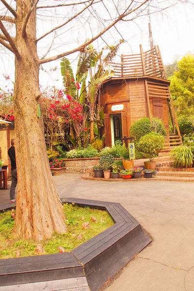 雅虎首頁文(國內旅遊台中)★【薰衣草森林】越來越文青風，來一趟文字探索森林之旅吧！