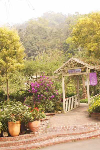 雅虎首頁文(國內旅遊台中)★【薰衣草森林】越來越文青風，來一趟文字探索森林之旅吧！