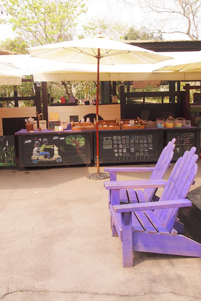 雅虎首頁文(國內旅遊台中)★【薰衣草森林】越來越文青風，來一趟文字探索森林之旅吧！