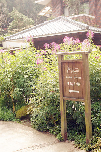 雅虎首頁文(國內旅遊台中)★【薰衣草森林】越來越文青風，來一趟文字探索森林之旅吧！