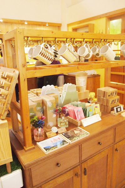 雅虎首頁文(國內旅遊台中)★【薰衣草森林】越來越文青風，來一趟文字探索森林之旅吧！