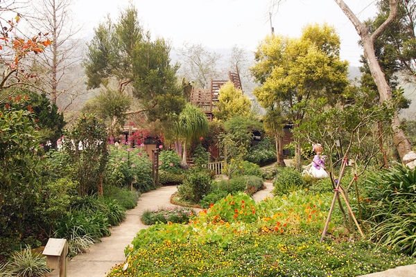 雅虎首頁文(國內旅遊台中)★【薰衣草森林】越來越文青風，來一趟文字探索森林之旅吧！