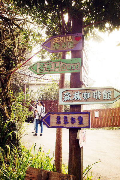 雅虎首頁文(國內旅遊台中)★【薰衣草森林】越來越文青風，來一趟文字探索森林之旅吧！