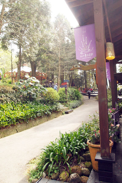 雅虎首頁文(國內旅遊台中)★【薰衣草森林】越來越文青風，來一趟文字探索森林之旅吧！