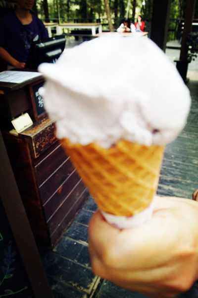 雅虎首頁文(國內旅遊台中)★【薰衣草森林】越來越文青風，來一趟文字探索森林之旅吧！