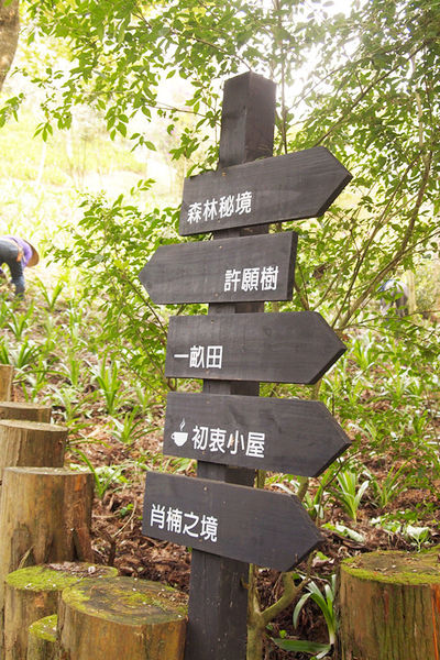 雅虎首頁文(國內旅遊台中)★【薰衣草森林】越來越文青風，來一趟文字探索森林之旅吧！