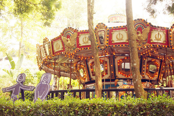 雅虎首頁文(國內旅遊台中)★【薰衣草森林】越來越文青風，來一趟文字探索森林之旅吧！