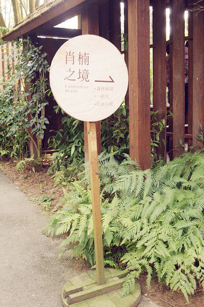 雅虎首頁文(國內旅遊台中)★【薰衣草森林】越來越文青風，來一趟文字探索森林之旅吧！