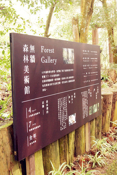 雅虎首頁文(國內旅遊台中)★【薰衣草森林】越來越文青風，來一趟文字探索森林之旅吧！