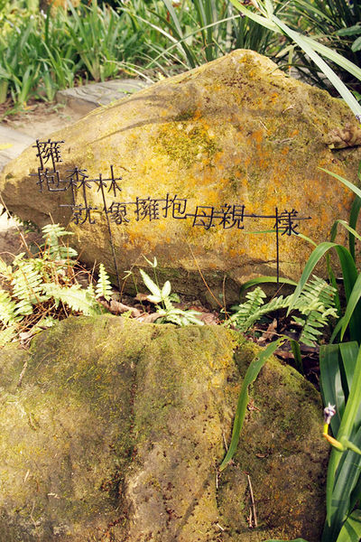 雅虎首頁文(國內旅遊台中)★【薰衣草森林】越來越文青風，來一趟文字探索森林之旅吧！