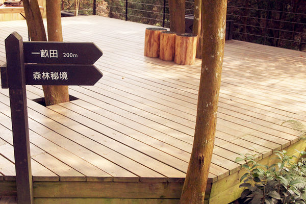 雅虎首頁文(國內旅遊台中)★【薰衣草森林】越來越文青風，來一趟文字探索森林之旅吧！