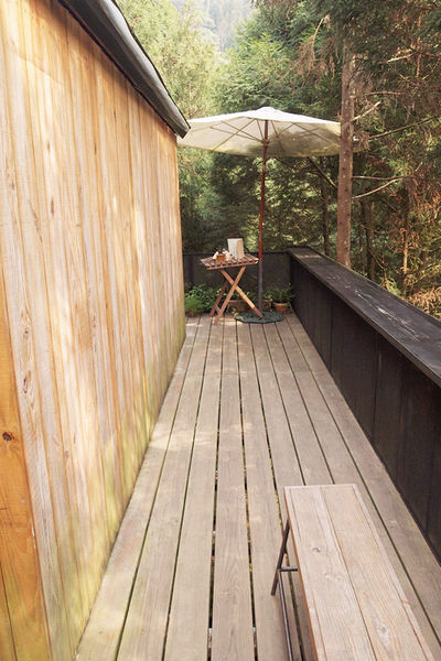 雅虎首頁文(國內旅遊台中)★【薰衣草森林】越來越文青風，來一趟文字探索森林之旅吧！