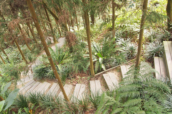 雅虎首頁文(國內旅遊台中)★【薰衣草森林】越來越文青風，來一趟文字探索森林之旅吧！