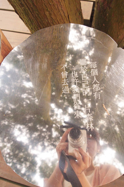 雅虎首頁文(國內旅遊台中)★【薰衣草森林】越來越文青風，來一趟文字探索森林之旅吧！