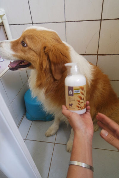 (寵物)毛髮亮柔順蓬鬆滋潤【ArfArf絲光柔馭沙龍級寵物護毛乳】擁有沙龍級感受