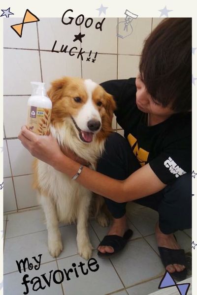 (寵物)毛髮亮柔順蓬鬆滋潤【ArfArf絲光柔馭沙龍級寵物護毛乳】擁有沙龍級感受