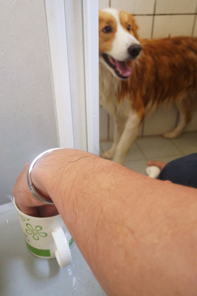 (寵物)毛髮亮柔順蓬鬆滋潤【ArfArf絲光柔馭沙龍級寵物護毛乳】擁有沙龍級感受