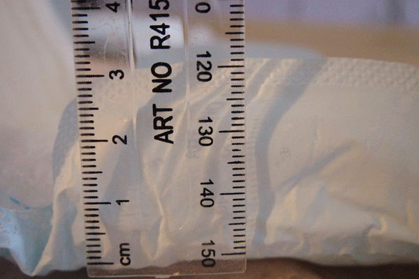 日用品-大王高分子吸收衛生棉,怎麼躺怎麼翻都不漏,elis夜用elis輕柔肌日用蝶翼