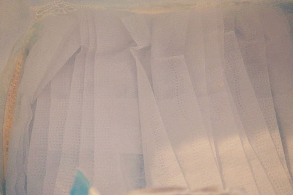 日用品-大王高分子吸收衛生棉,怎麼躺怎麼翻都不漏,elis夜用elis輕柔肌日用蝶翼