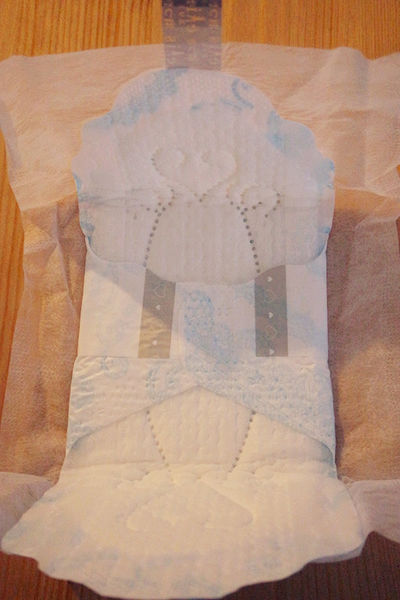 日用品-大王高分子吸收衛生棉,怎麼躺怎麼翻都不漏,elis夜用elis輕柔肌日用蝶翼