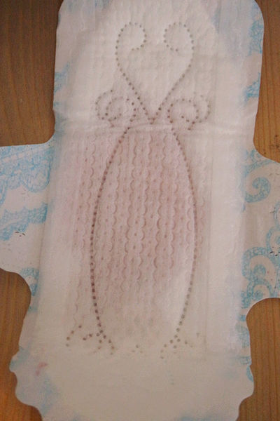 日用品-大王高分子吸收衛生棉,怎麼躺怎麼翻都不漏,elis夜用elis輕柔肌日用蝶翼