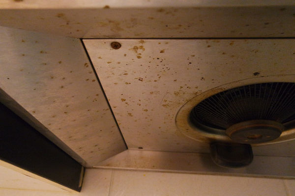 (居家分享)♥想要省時又省力,台中居家清潔,【魔法職人】正妹到府清潔,換你乾淨居家環境