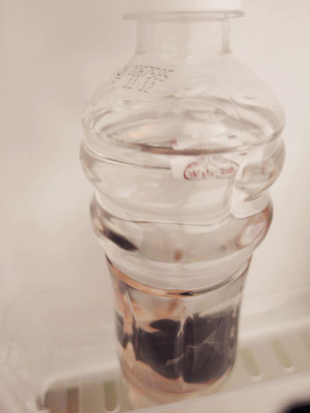 (體驗分享)♥四季皆宜養生【阿華師茶業】養顏美容紅豆紫米薏仁水&促進新陳代謝黑豆水