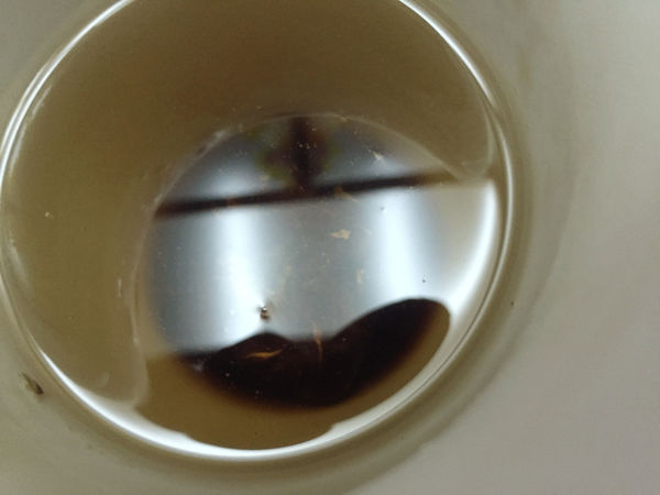 (體驗分享)♥【大姨媽女性生理期機能飲品】符合心情寫照，給妳最好的28天喝護保養