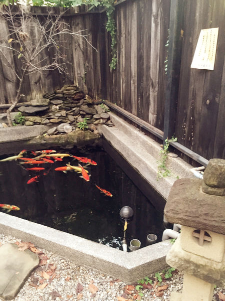 雅虎首頁文（FoOd南投)♥〔小串居酒屋〕彷彿任意門穿縮來到日本的庭園造景美味居酒屋