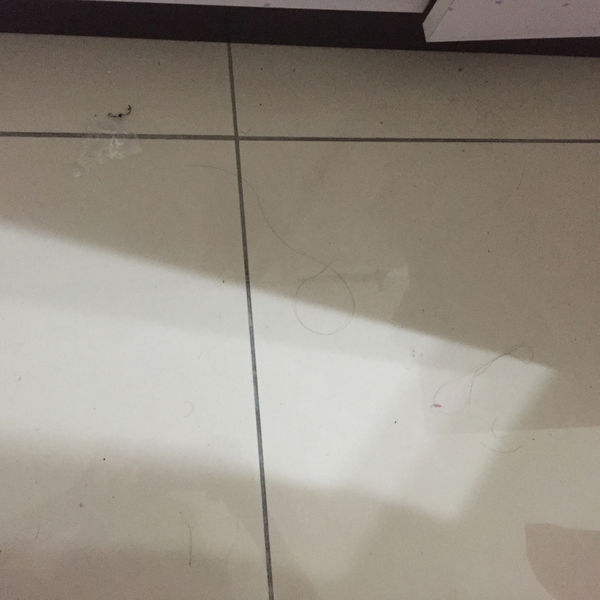 (體驗分享)♥〔驅塵氏地板黏塵拖〕好黏好用2段伸縮式不費力的居家清潔小幫手