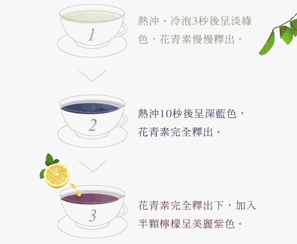 〔會變色的營養師輕食蝶豆花茶包〕精緻小巧好攜帶,喝茶也能擁有新的愉悅感受