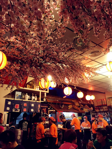 雅虎首頁文（FoOd新北)♥〔八條壽司〕在充滿日本氛圍的櫻花林裡享用美味平價日式餐點