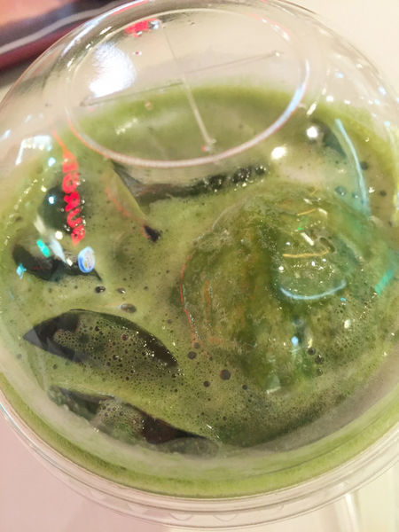 （FoOd桃園)♥清涼一下，消暑解渴的冰品飲料〔一抹綠日式手作抹茶大江店〕
