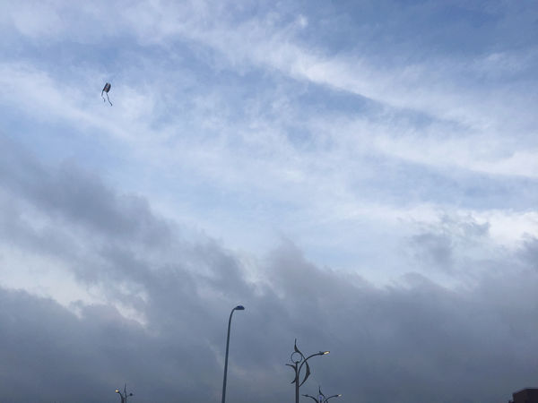 萊爾富 青春Fly high夢想飛行風箏,一起擁有愛與夢想,大膽作夢大膽飛行