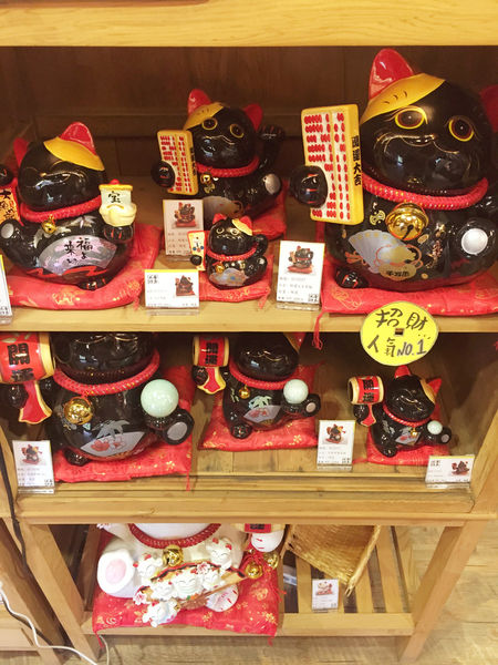 (國內旅遊嘉義)♥兩天一夜慢活嘉義美食吃透透之旅-消魂的火雞肉飯回味無窮