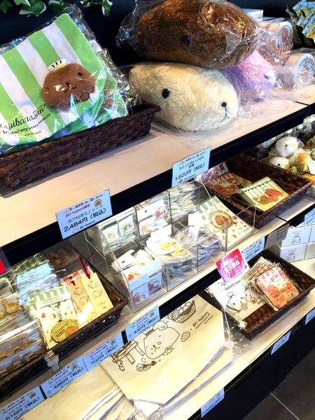 [雅虎首頁文]國外遊記看圖說話♥(友伴行)冬 OSAKA大阪自助行DAY3♥