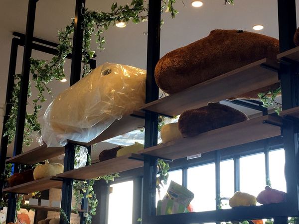 [雅虎首頁文]國外遊記看圖說話♥(友伴行)冬 OSAKA大阪自助行DAY3♥