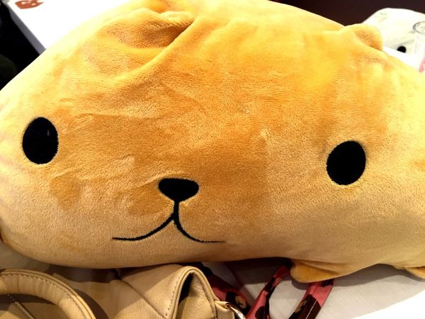 [雅虎首頁文]國外遊記看圖說話♥(友伴行)冬 OSAKA大阪自助行DAY3♥