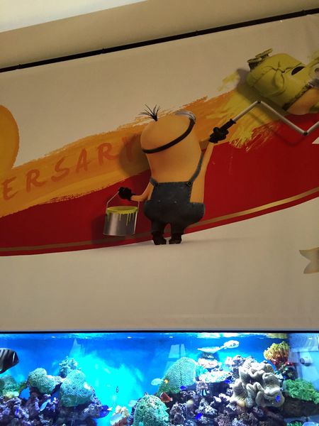 [雅虎首頁文]國外遊記看圖說話♥(友伴行)冬 OSAKA大阪自助行DAY3♥