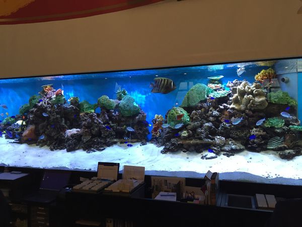 [雅虎首頁文]國外遊記看圖說話♥(友伴行)冬 OSAKA大阪自助行DAY3♥